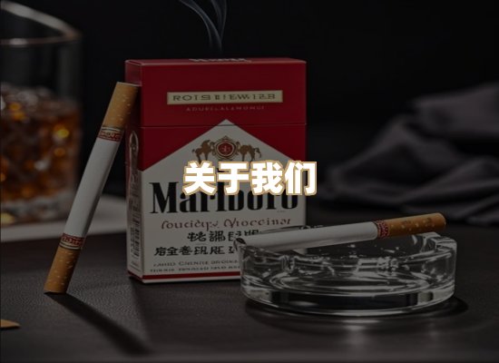 关于御龙烟网